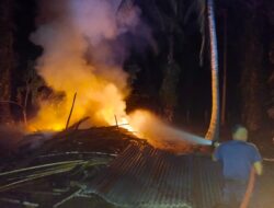 Bakar Sarang Tawon, Pondok Kayu di Manggopoh Agam Ludes Terbakar