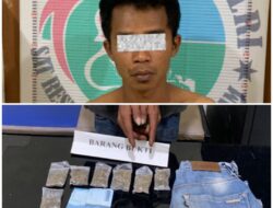 Aksi Cepat Satresnarkoba Agam Gagalkan Peredaran Ganja di Sungai Batang