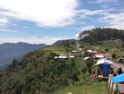Jalur Embun Pagi Menuju Puncak Lawang Memprihatinkan: Rumput Liar Tutupi Akses Wisata Unggulan
