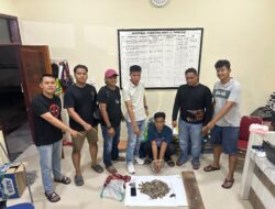 Polres Agam Amankan Warga yang Jual Sisik Trenggiling, Satwa Dilindungi Nyaris Dijual Bebas