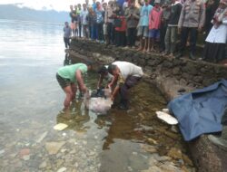 Warga Maninjau Geger, Mayat Perempuan Mengapung di Tepi Danau