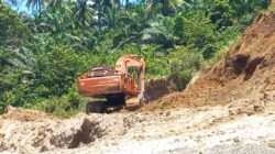 Dituduh Kelola Tambang, Pensiunan TNI: Hoaks!