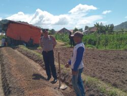 Polsek Matur Dukung Petani Cabe, Kapolsek: Ketahanan Pangan Bisa Tekan Angka Kejahatan