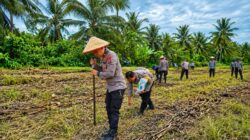 Kapolsek Lubuk Basung Turun ke Lahan, Tanam Jagung Bersama Warga di Kampung Pinang