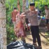 Kapolsek Ampek Nagari Sambangi Warga dan Ikut Potong Sapi Kurban di Nagari Batu Kambing