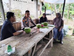 Ketahanan Pangan Jadi Fokus, Kapolsek Lubuk Basung Kunjungi Green House Petani Banda Baru