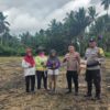 Polsek Tanjung Mutiara Siapkan Lahan 1 Hektare untuk Tanam Jagung, Dukung Program Ketahanan Pangan