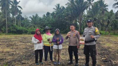 Polsek Tanjung Mutiara Siapkan Lahan 1 Hektare untuk Tanam Jagung, Dukung Program Ketahanan Pangan