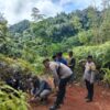 BKSDA Buka Kamera Trap usai Harimau Sumatera Hilang dari Pantauan di Palembayan