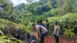 BKSDA Buka Kamera Trap usai Harimau Sumatera Hilang dari Pantauan di Palembayan