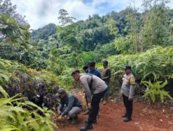 BKSDA Buka Kamera Trap usai Harimau Sumatera Hilang dari Pantauan di Palembayan