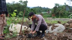 Cegah Bencana Berulang, Kapolres Agam Pimpin Gerakan Penghijauan di Kawasan Terdampak Longsor
