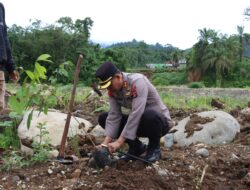 Cegah Bencana Berulang, Kapolres Agam Pimpin Gerakan Penghijauan di Kawasan Terdampak Longsor