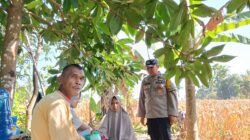 Bhabinkamtibmas Polsek Palembayan Sambangi Petani Jagung, Dukung Ketahanan Pangan dan Ingatkan Bahaya Karhutla