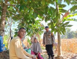 Bhabinkamtibmas Polsek Palembayan Sambangi Petani Jagung, Dukung Ketahanan Pangan dan Ingatkan Bahaya Karhutla