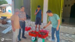 Kapolsek Lubuk Basung Sambangi Pengusaha Manggis, Dukung Perekonomian Petani dan Sampaikan Pesan Kamtibmas