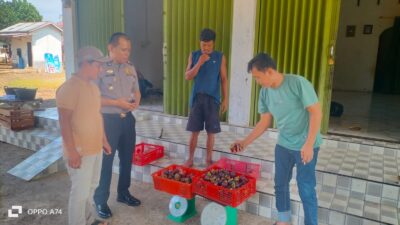 Kapolsek Lubuk Basung Sambangi Pengusaha Manggis, Dukung Perekonomian Petani dan Sampaikan Pesan Kamtibmas