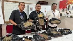 Satresnarkoba Polrestabes Medan Tangkap Bandar Ganja, Sita 9,4 Kilogram Barang Bukti