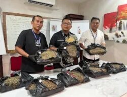 Satresnarkoba Polrestabes Medan Tangkap Bandar Ganja, Sita 9,4 Kilogram Barang Bukti