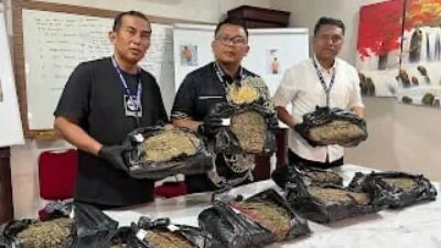Satresnarkoba Polrestabes Medan Tangkap Bandar Ganja, Sita 9,4 Kilogram Barang Bukti