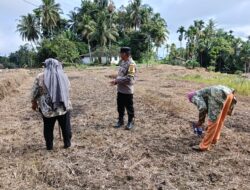 Bhabinkamtibmas Sambangi Petani Jagung di Palembayan, Ajak Dukung Program Pertanian dan Jaga Keamanan