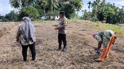 Bhabinkamtibmas Sambangi Petani Jagung di Palembayan, Ajak Dukung Program Pertanian dan Jaga Keamanan