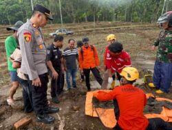 Warga Palembayan Temukan Tengkorak di Dekat Sawah, Diduga Korban Bencana 2025