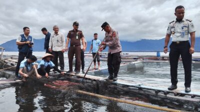 Keramba Rutan Maninjau Panen Ikan, Kapolsek: Bekal Saat Kembali ke Masyarakat